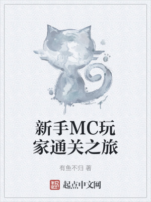 《新手MC玩家通关之旅》封面