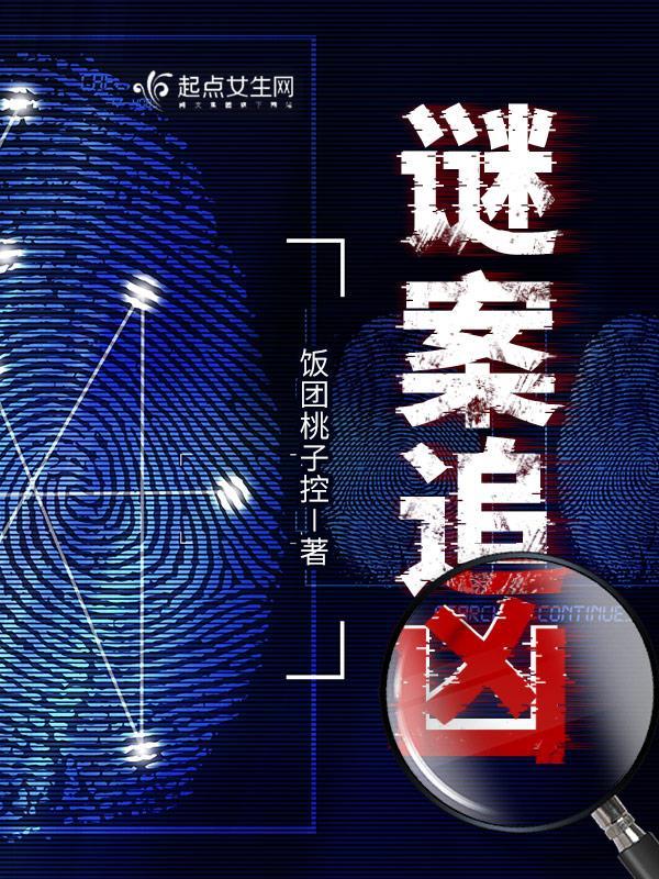 谜案追凶小说封面