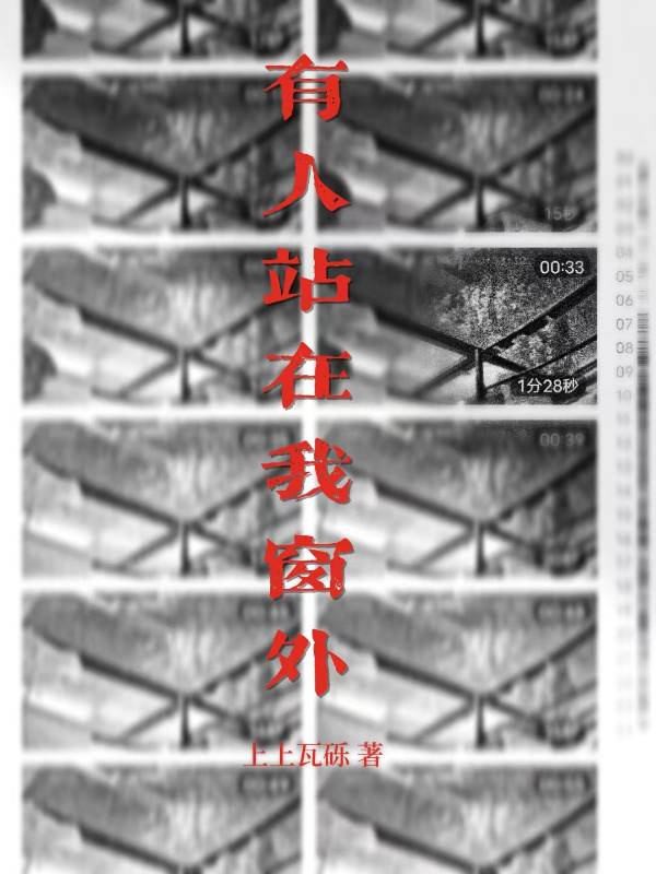 有人站在我窗外小说封面