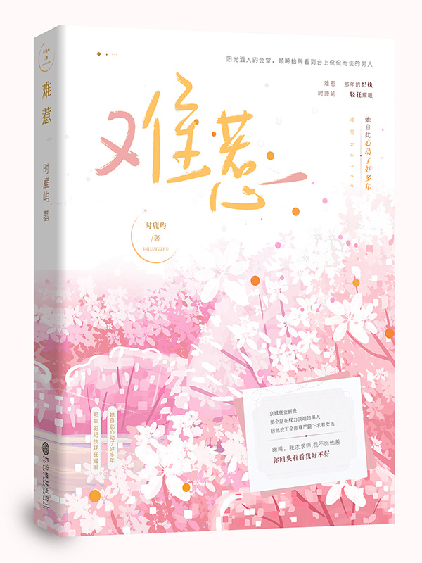 难惹小说封面