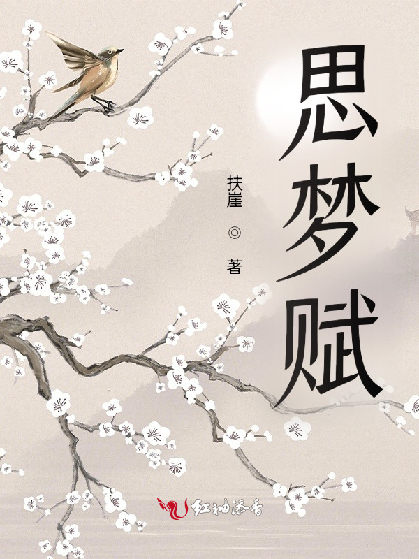 思梦赋小说封面