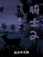 走陌路的骑士2