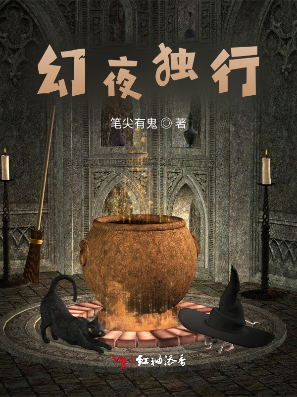 幻夜独行小说封面