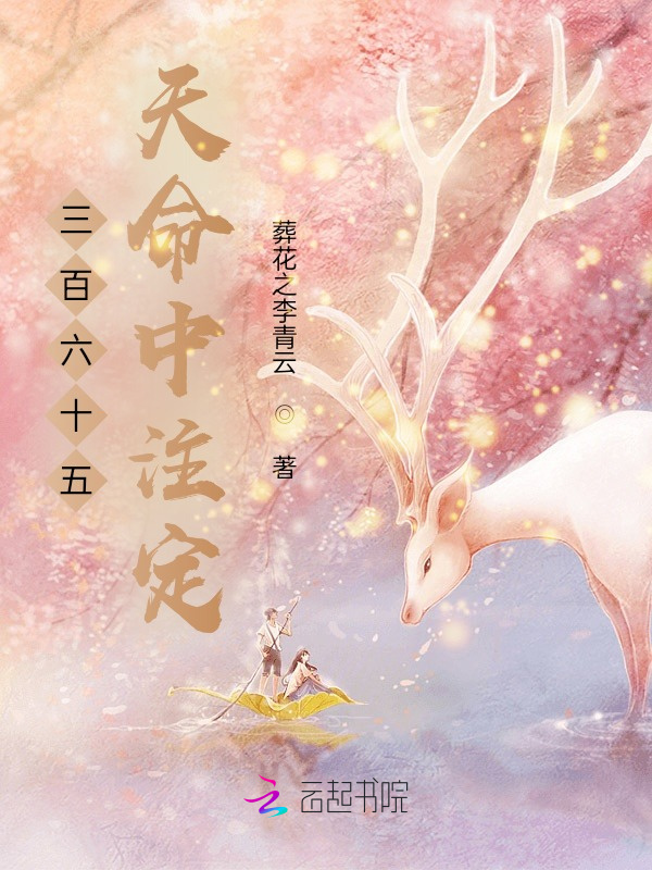 三百六十五天命中注定小说封面