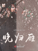 晚归雁大结局