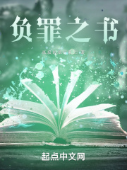 《负罪之书》封面