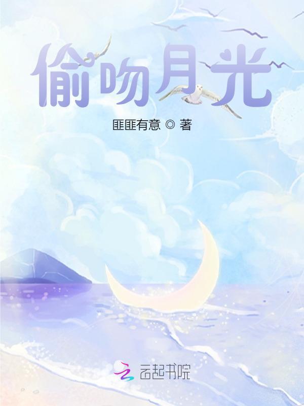 偷吻月光小说封面