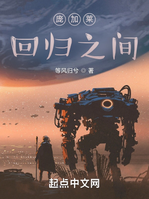 《庞加莱回归之间》封面