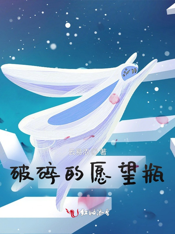 破碎的愿望瓶小说封面