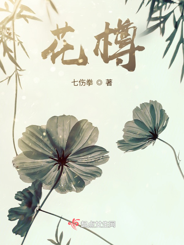 花樽小说封面
