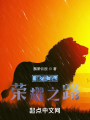 狮王的荣耀之路