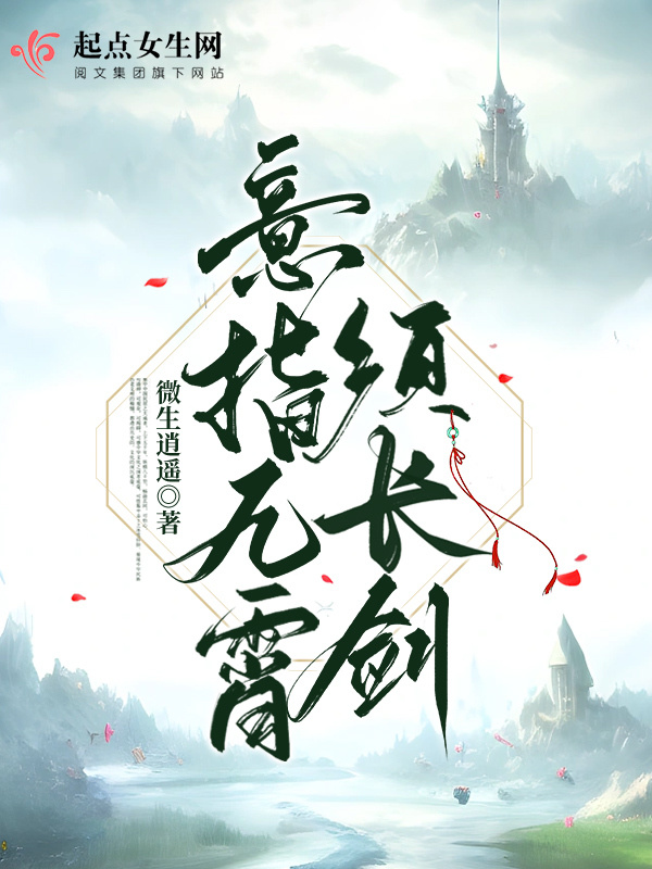 意指九霄须长剑小说封面