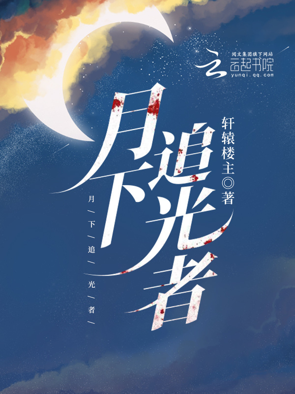 月下追光者小说封面
