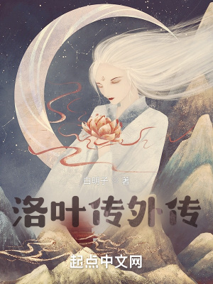 《洛叶传外传》封面