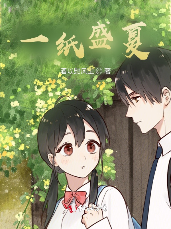 一纸盛夏小说封面