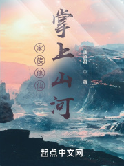 《翾风天崖》封面