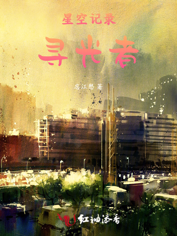 星空记录：寻光者小说封面