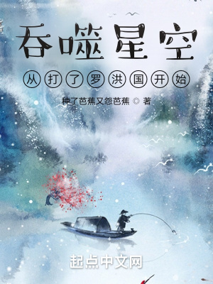 《吞噬星空从打了罗洪国开始》封面