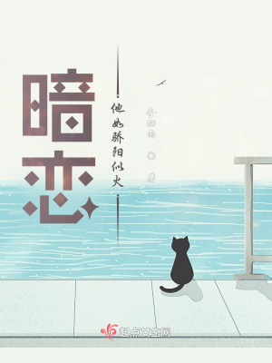 《暗恋，他如骄阳似火》封面