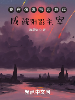 《我在像素探险游戏成就阴影主宰》封面