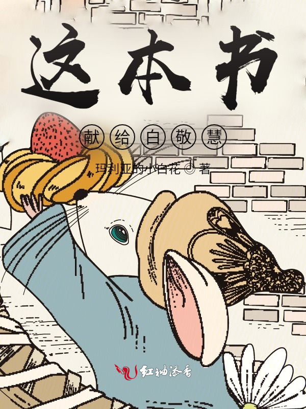 这本书献给白敬慧小说封面