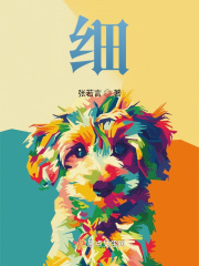 《细》封面