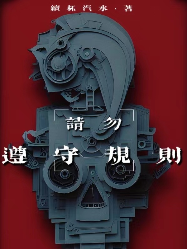 请勿遵守规则小说封面