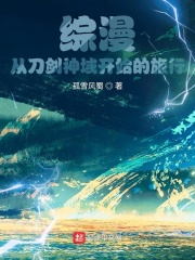 综漫：从刀剑神域开始的旅行（苏枫）