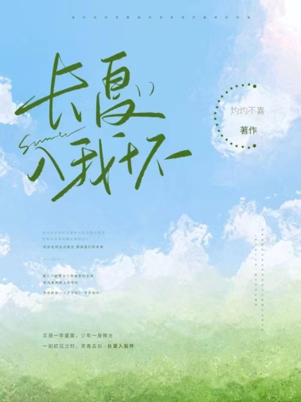长夏入我怀小说封面