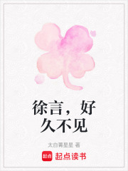 《徐言，好久不见》封面
