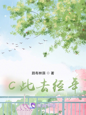 《C此去经年》封面