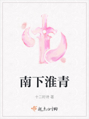 《南下淮青》封面