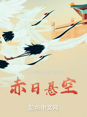 《赤日悬空》封面