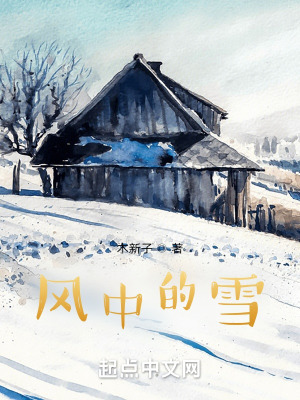《风中的雪》封面