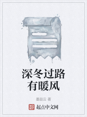《深冬过路有暖风》封面