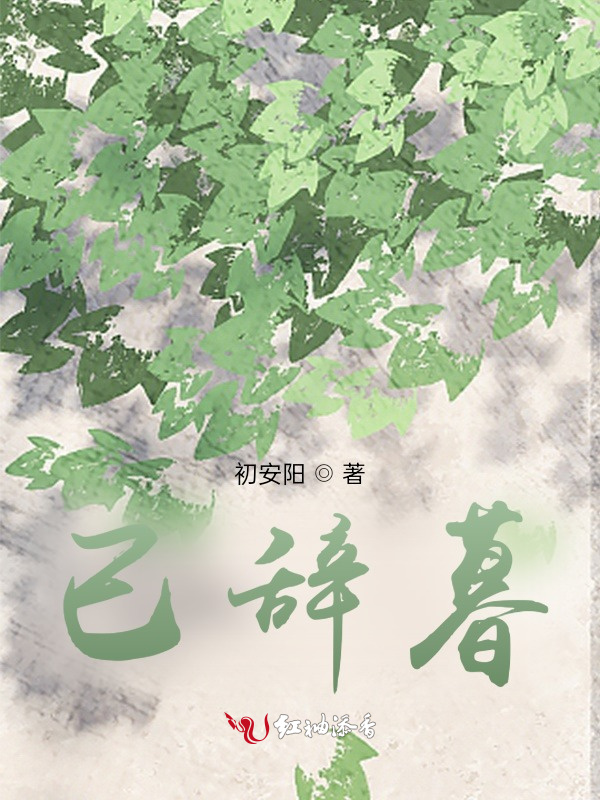 已辞暮小说封面