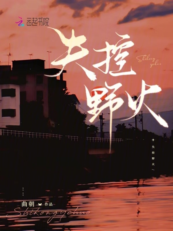 失控野火小说封面