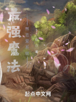 最强魔法师恋爱