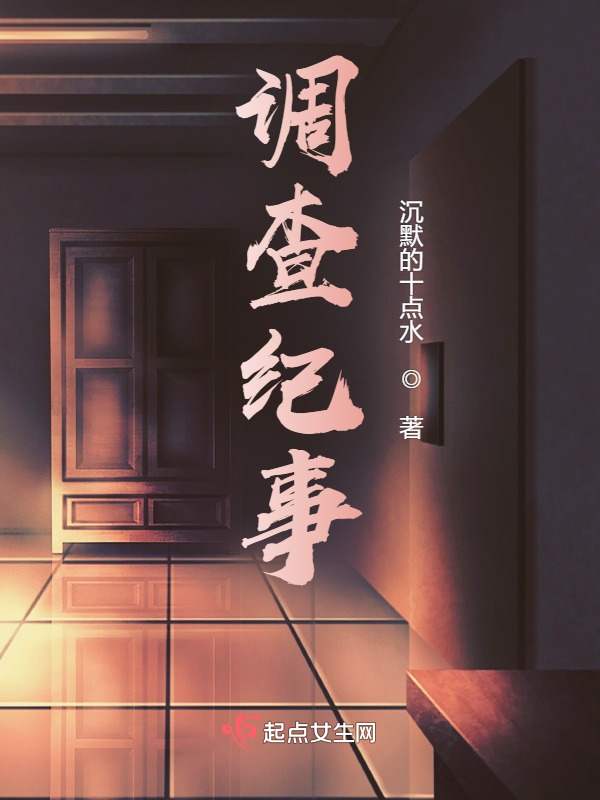 调查纪事小说封面