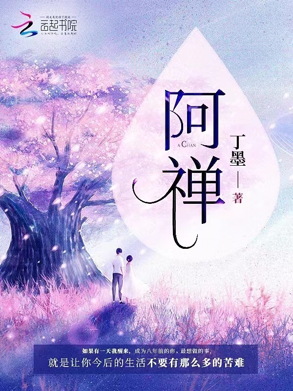 阿禅小说封面