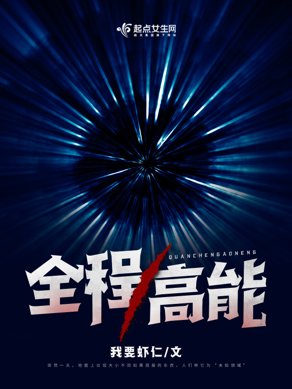 全程高能小说封面