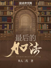 《最后的加法》封面