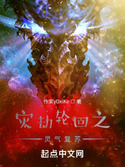 《灾劫轮回之灵气复苏》封面