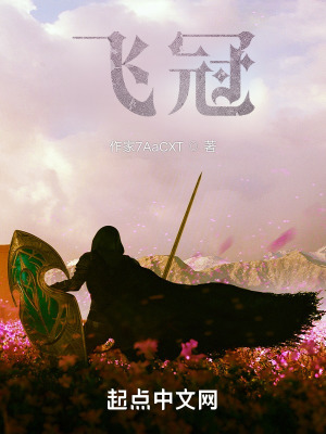 《飞冠》封面