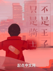 只是骑士，不是王子