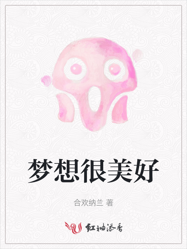 梦想很美好小说封面
