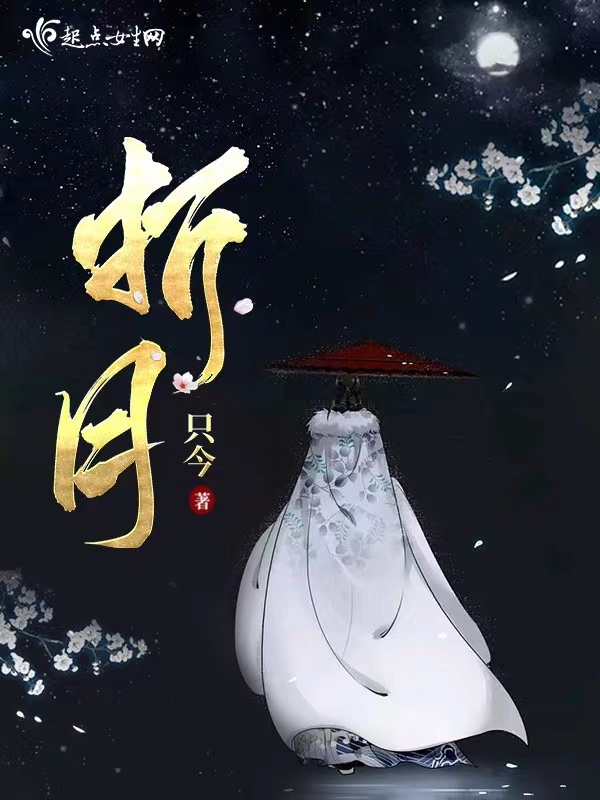 折月小说封面