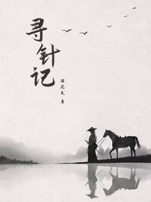 《寻针记》封面