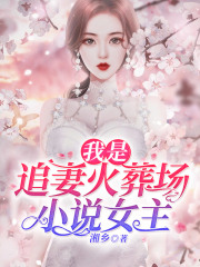 我是追妻火葬场小说女主