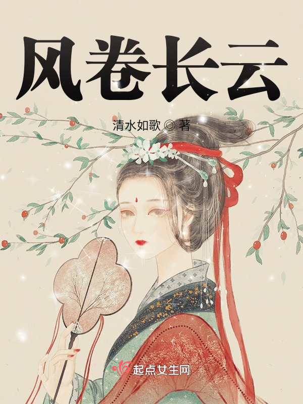 风卷长云小说封面